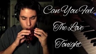 Can You Feel the Love Tonight on Ocarina (Disney Cover)