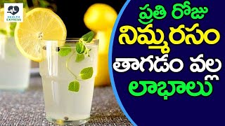 ప్రతి రోజు నిమ్మరసం తాగడం వల్ల లాభాలు | Benefits Of Taking Lemon Water Everyday | Telangana TV