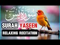 Surah Yasin (Yaseen) | By Sheikh Abdur-Rahman As-Sudais | Full With Arabic Text (HD) | 36سورۃ یس