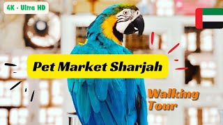 Animals \u0026Birds Market| Rolla- Sharjah 🦚🦜  Walking Tour| UAE #pets #petlover #uae #sharjah #petmarket