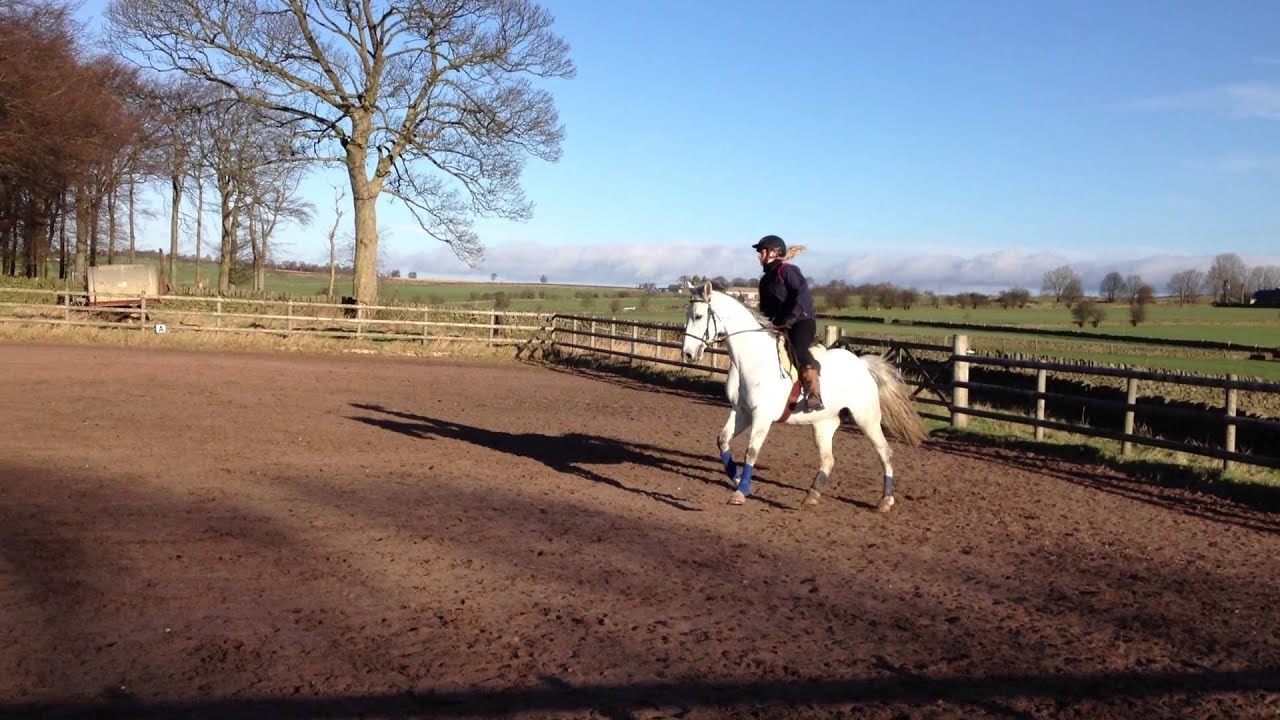 Sky Dressage Anywhere December 2013 P4 - YouTube