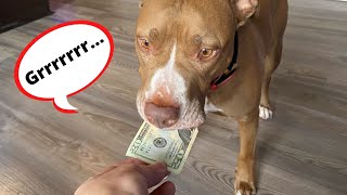 SOMEONE IS STEALING | Robby and Penny
