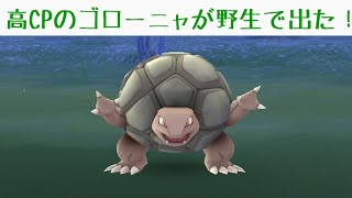 【ポケモンGO】高CPのゴローニャが野生で出た！！！