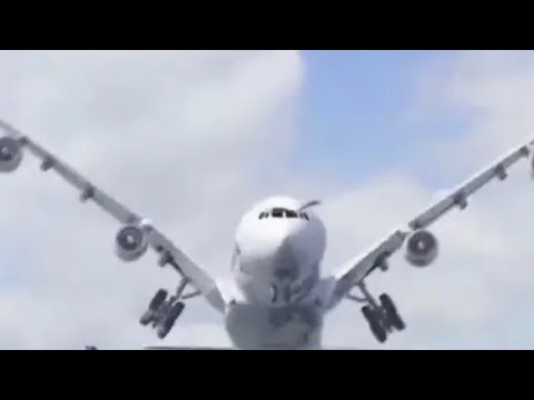 Funny Plane Dance. Flight Dancing With Birds.Funny Video At Airport ...