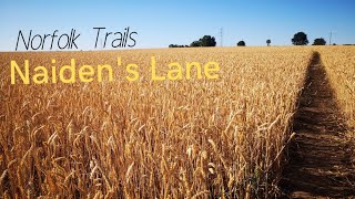 Norfolk Trails - Naiden's Lane