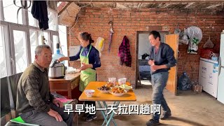 农民王小：小杂鱼，炖鸡腿犒劳干活，爷几个一天4趟拉羊料，备冬