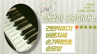 DAY1 (왕초보를 위한 피아노레슨)건반익히기/손가락번호/피아노자세/손모양