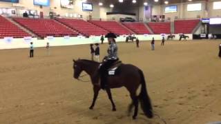 AQHA novice championships west rookie western pleasure 2015