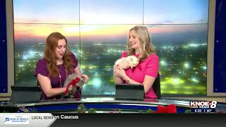 KNOE Best Morning Show for 2026 LAB Prestige Awards (30 secs)