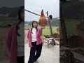 episode 17 me and my intelligent rooster cute rooster amazing pet chicken