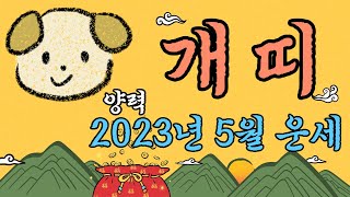 개띠 양력 2023년 5월의 운세