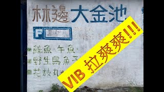 林邊大金池 如何讓變精明的金目鱸路亞大咬？【釣魚喇低賽】