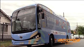 BYD K7 (100% Eléctrico) / Bus de transporte privado (Juegos PanAm | ParapanAm Stgo. 2023)