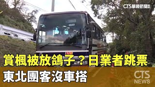 賞楓被放鴿子？　日遊覽車業者跳票　東北團客沒車搭｜華視新聞 20231024