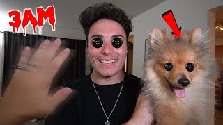 We Entered The BUTTON WORLD DIMENSION at 3 AM CHALLENGE!! (PUPPY HAS EVIL TWIN)