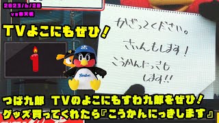 つば九郎　グッズ買ってくれたら『こうかんにっきします』　TVの横にもおすすめ、すわ九郎！　2023/6/20 vs楽天