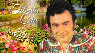 Tiberiu Ceia, unul dintre cei mai iubiți artiști de la noi 🔥 Colaj cu muzică populară bănățeană