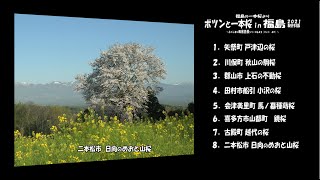 福島の一本桜より Ｖｅｒ. 4Ｋ ～ ポツンと一本桜 in 福島２０２１制作編 ～