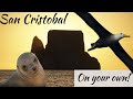 Galapagos on Your Own: San Cristobal