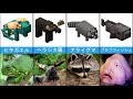 minecraftの中に実際の生活の動物「比較」