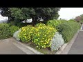 【4k yokohama】 walk in japan 横浜 山下公園を散歩