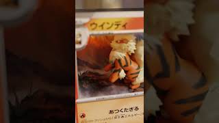 Moving Arcanine [Pokemon card shadow box] #shorts