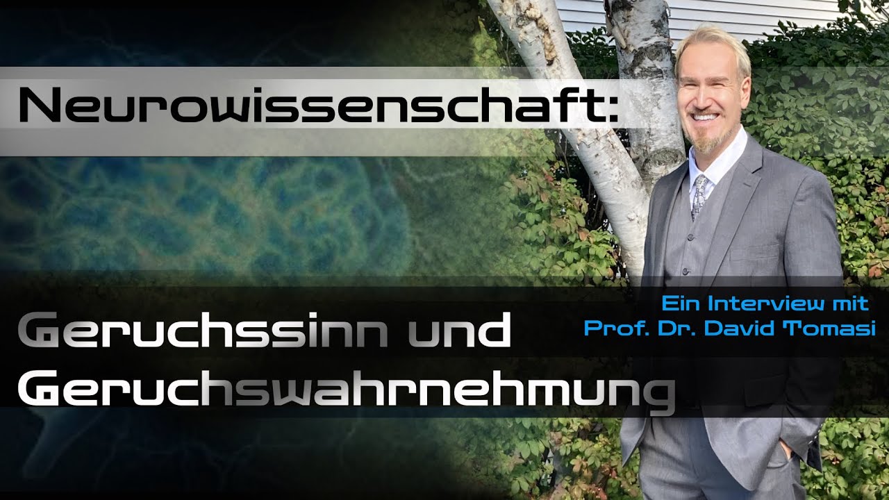 Neurowissenschaft: Geruchssinn / Olfaktorische Wahrnehmung (Deutscher ...