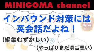 【英会話動画？】インバウンド対応ができるアザラシになりたいミニゴマとゴマが英語の勉強をはじめました【ミニゴマチャンネル】