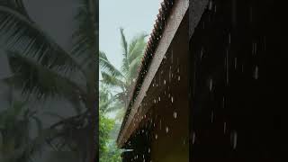 മഴ വീട് ഓർമ്മകൾ  🌧️വീണ്ടും  ഒരു  മഴക്കാലം കൂടി ❤️❤️ #rain #home #viralvideo #kerala #nostalgia ⛈️🌧️😍