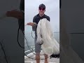 How To: 14-Foot Cast Net