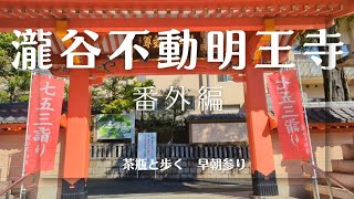 茶瓶チャンネル番外編！　日本三不動の一　瀧谷不動明王寺　　茶瓶と歩く早朝参り