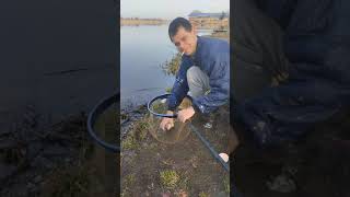 Zimsko pecanje babuske i deverike Srbobran (upis u novoj godini) -Winter fishing in Serbia