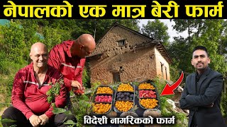 विदेशी नागरिकको लगानीमा संचालित नेपालकै पहिलो र एक मात्र बेरी फार्म - The Berry Farm