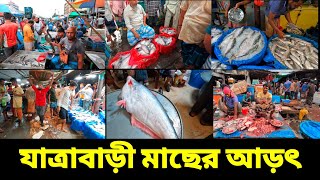 যাত্রাবাড়ী মাছের আড়ৎ | ঢাকার বৃহত্তর মাছ বাজার | দেশি সহ সামুদ্রিক সব মাছই আছে | Jatrabari market