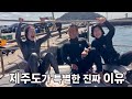 제주도의 참맛을 아십니까?🌊 미친 파도가 시켜준 역대급 참교육👊🏻- 제주도 프리다이빙 마지막 편 l (ENG) Freediving in Jeju, Korea