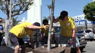 UCLA Volunteer Center - Westwood Organized MEGA Project 2011