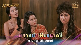 พยานมาเพิ่มขนาดนี้ นางกุลาไม่รอดแน่ | Highlight กุลาแสนสวย Ep.35 | 26 ก.พ. 68 | Mamy sol