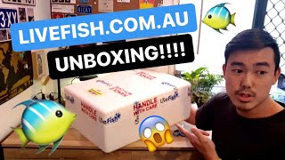 **UNBOXING LIVE FISH** FROM LIVEFISH.COM.AU!!!!