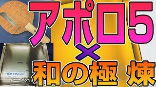 【銀河 APOLLO5国用】神の相性『和の極-煉-』×アポロ5で打ってみた。【卓球知恵袋】Table Tennis