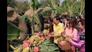 ปางช้างไทรโยคจัดกิจกรรมเลี้ยงโต๊ะจีนช้างตอบแทนบุญคุณช้างเนื่องในวันช้างไทย