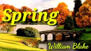 Spring||William Blake|| Romantic Poet||Poetry Reading||