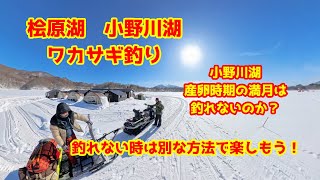 2025年2月15日　小野川湖　氷上テントでワカザギ釣り　産卵時期の満月のピーカンで完全に喰い渋り状態に！