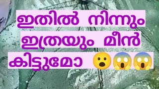 മഴ വെള്ളത്തിൽ ഒരു മീൻ പിടിത്തം 😺😺#trending #fishingvideo #fishinghack