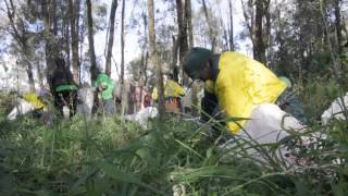 Bushcare in Blacktown City