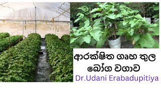 ආරක්ෂිත ගෘහ තුල බෝග වගාව  DR.UDANI ERABADUPITIYA ( DEPARTMENT OF AGRICULTURE)