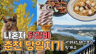 A trip to Chuncheon, Korea in the fall by myself (feat. looking at cats a lot)