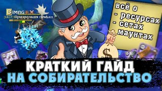 КРАТКИЙ ГАЙД НА СОБИРАТЕЛЬСТВО | Как правильно собирать в Albion Online?