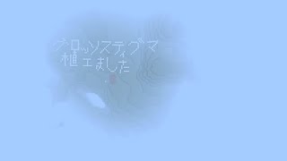 グロッソスティグマを植えました。9日目