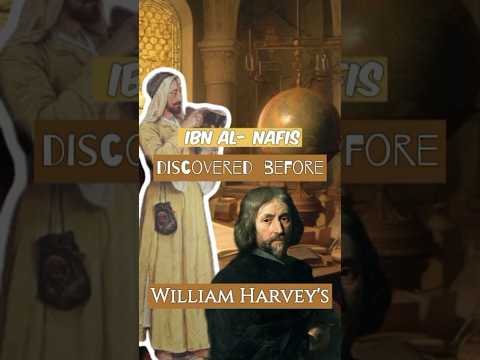 When did Ibn Al-Nafis discover pulmonary circulation?