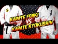 LEBIH BAIK MANA ❓❗ KARATE KYOKUSHIN ATAU KARATE FORKI❓